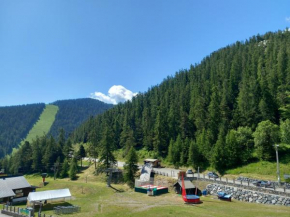 Très agréable 2 pièces au pied des pistes